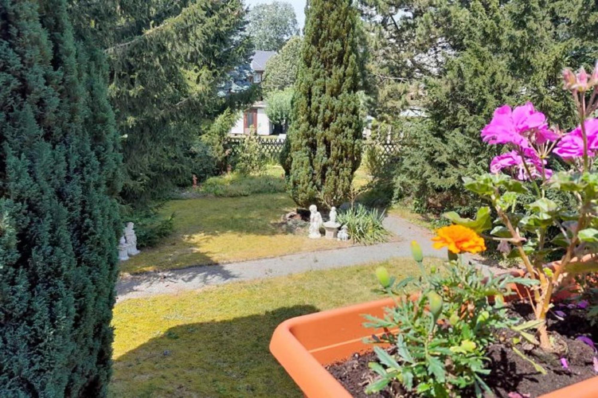 Pferd - Spass - Entspannung Staitz Exterior foto